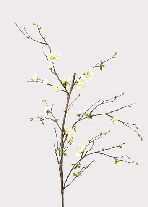 Premium Artificial Flowers  - Cream Artificial Blossom Branch - 57"