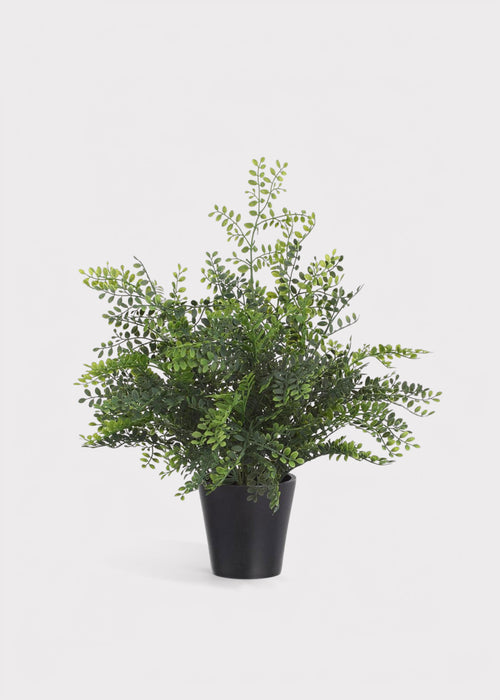 Artificial Maidenhair Fern Potted Plant - 16.5"