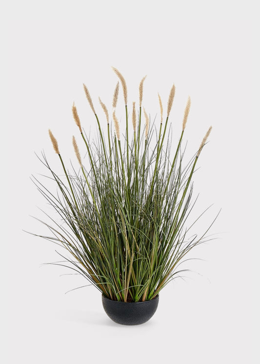 Fake Foxtail Grass Plant in Plastic Planter Pot - 28"