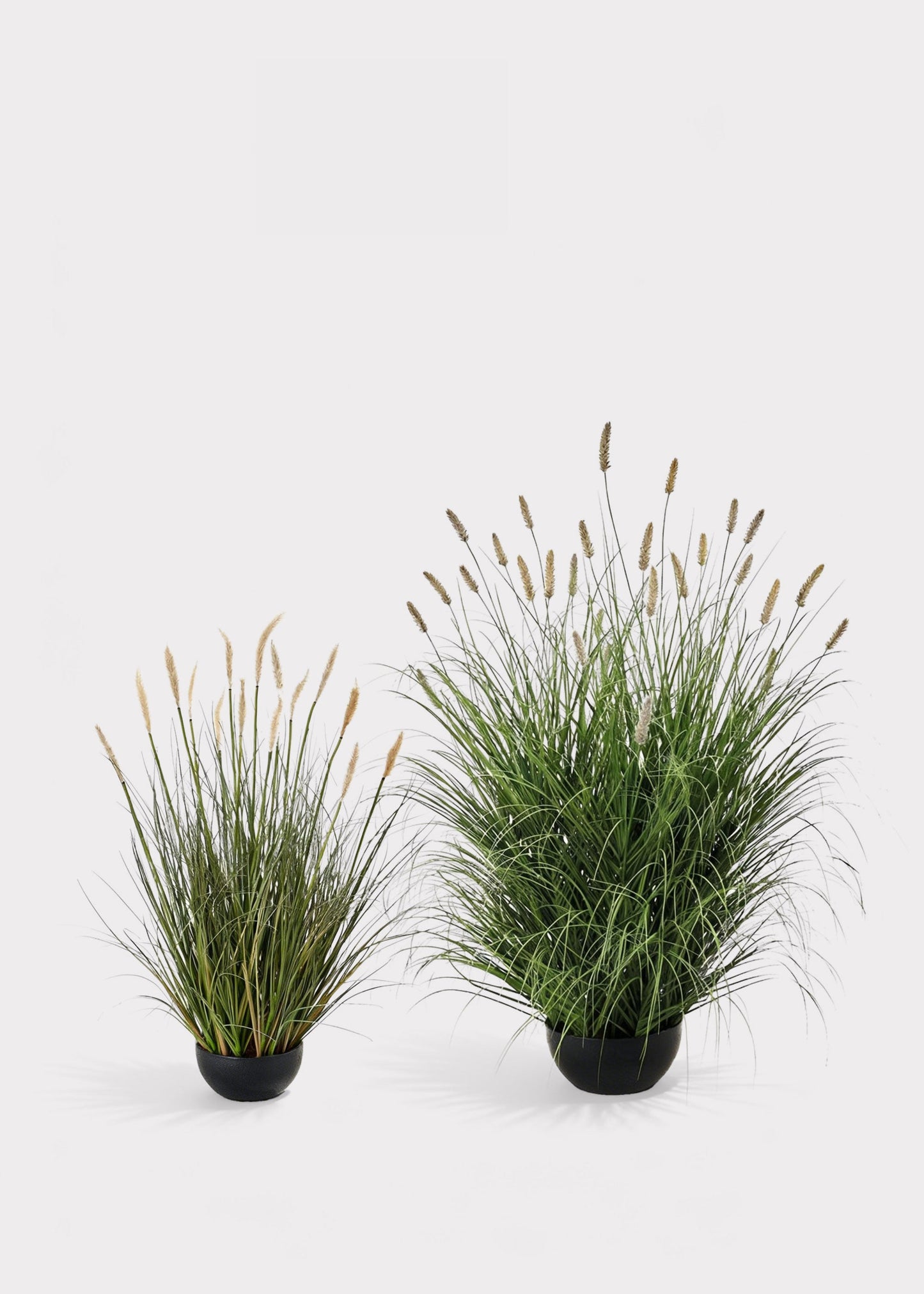 Fake Foxtail Grass Plant in Plastic Planter Pot - 28"