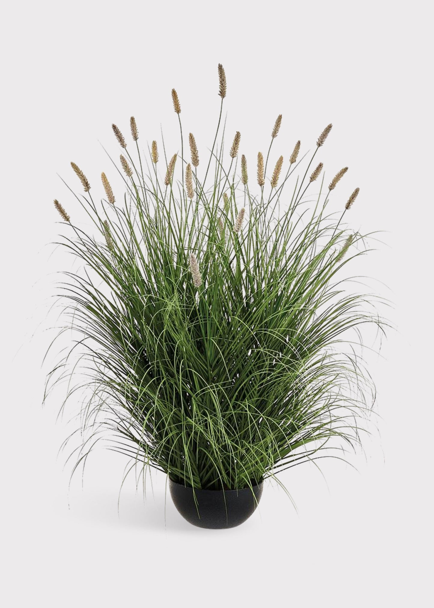 Large Artificial Potted Foxtail Grass Plant - 47"