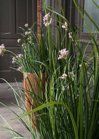 Mauve Fake Flower and Milkweed Grass Potted Plant - 35"