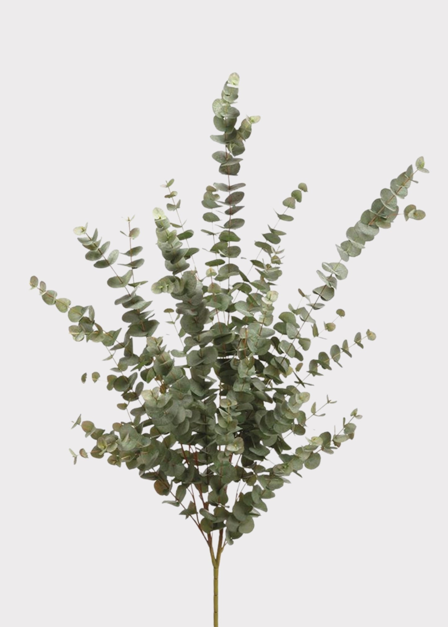Artificial Eucalyptus Large Foliage Bush - 57"