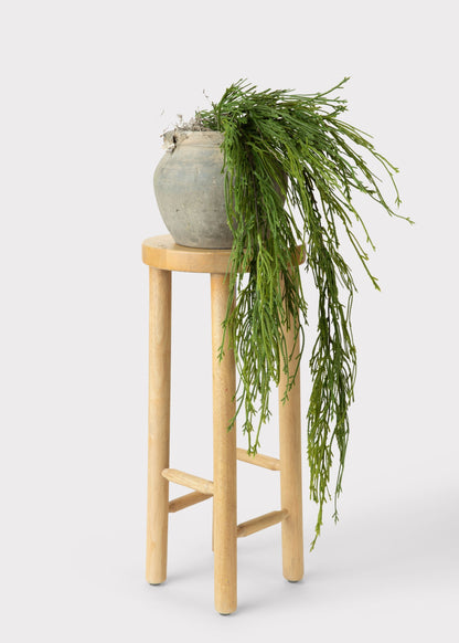 UV Treated Indoor/Outdoor Fake Hanging Moss Fern Plant - 38.5"