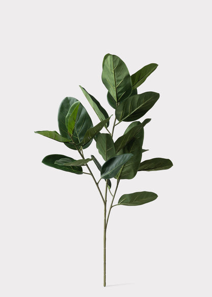 Fake UV Treated Indoor/Outdoor Ficus Audrey Leaf Branch - 35"
