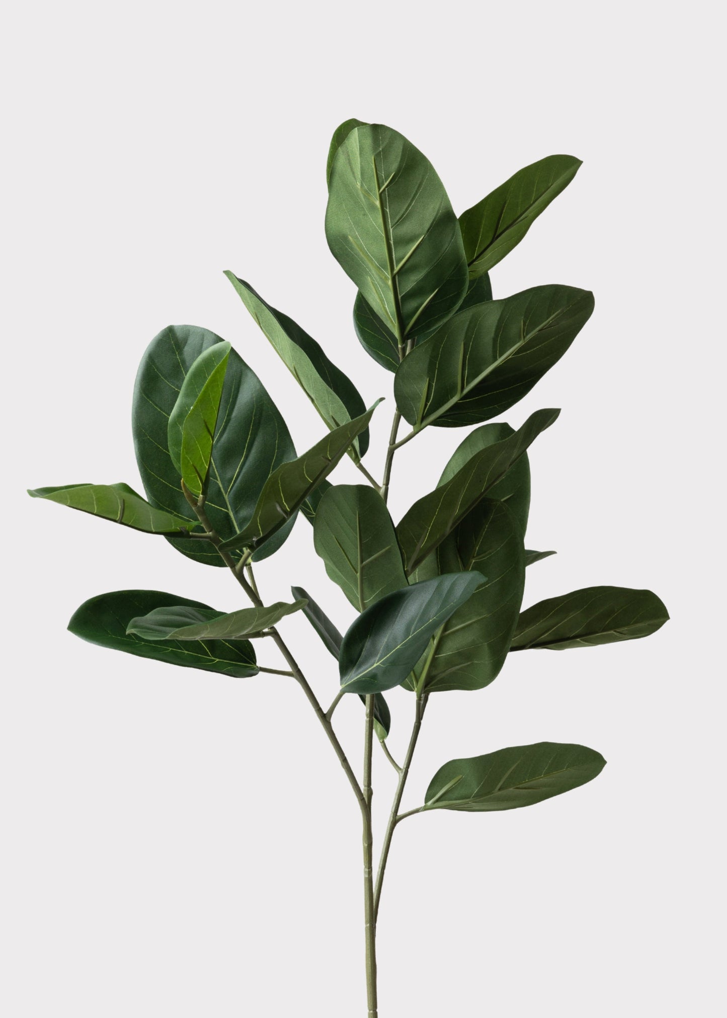 Fake UV Treated Indoor/Outdoor Ficus Audrey Leaf Branch - 35"