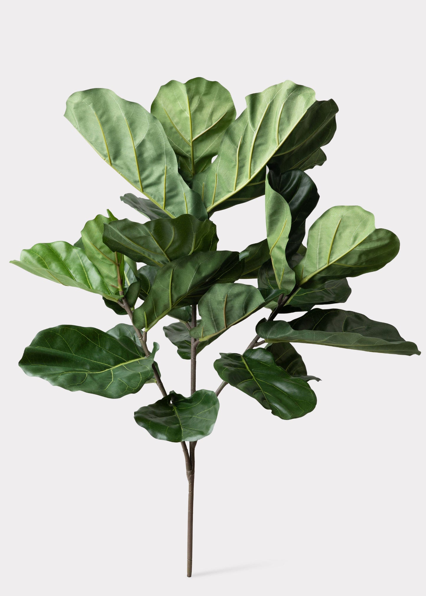 Tall Artificial Fiddle Leaf Fig Branch - 41"