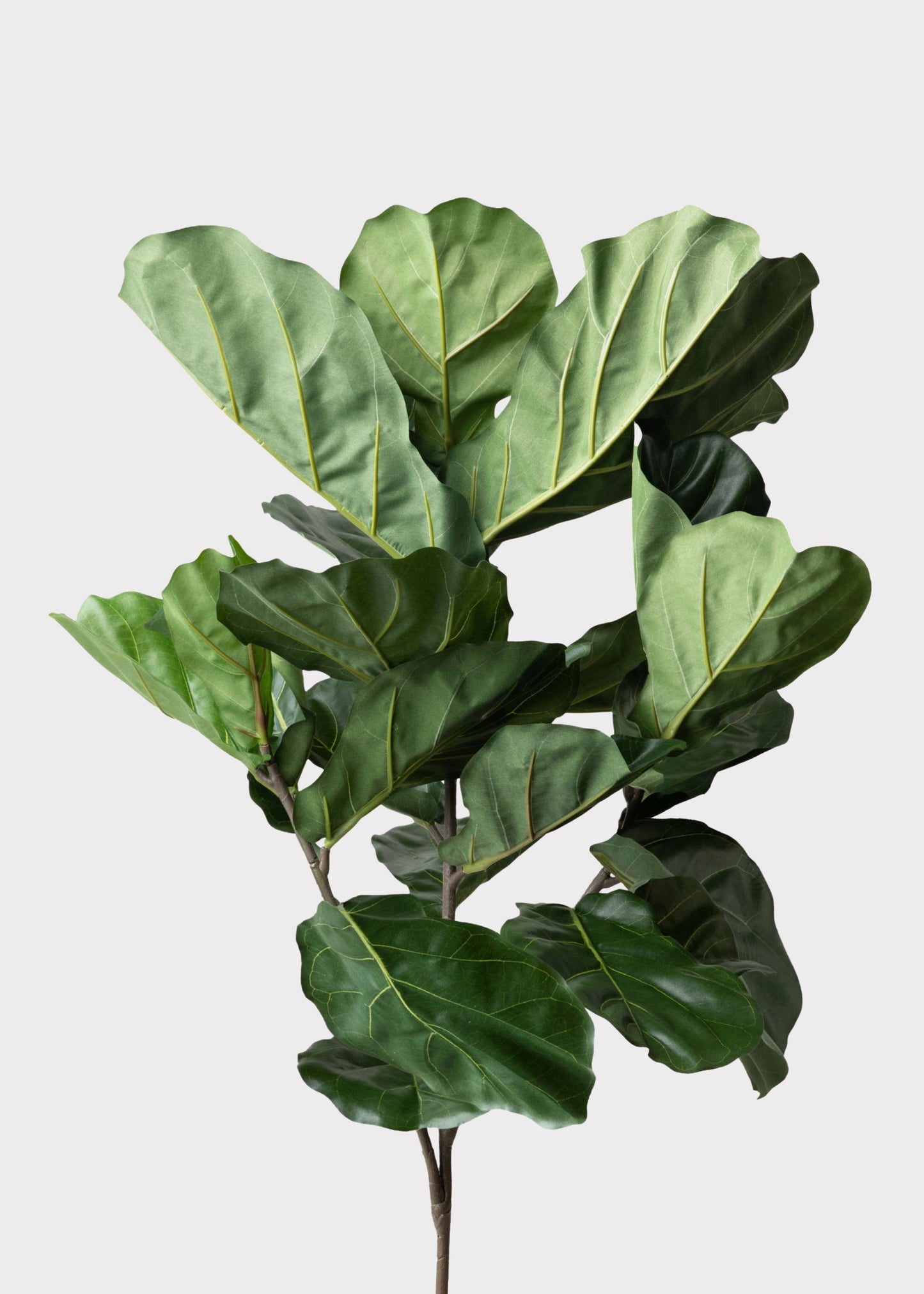 Tall Artificial Fiddle Leaf Fig Branch - 41"