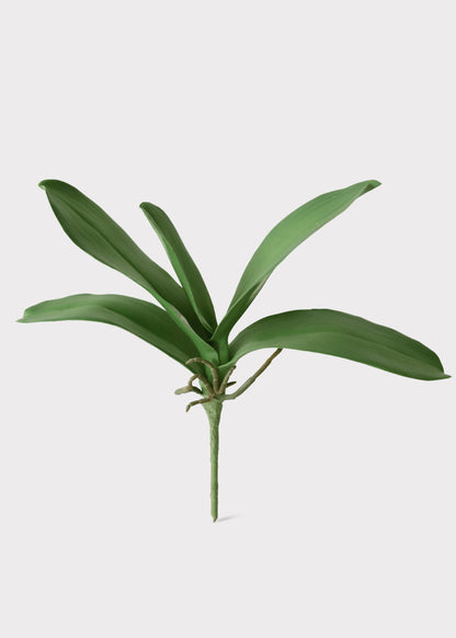 Artificial Phalaenopsis Orchid Leaf Plant - 15"