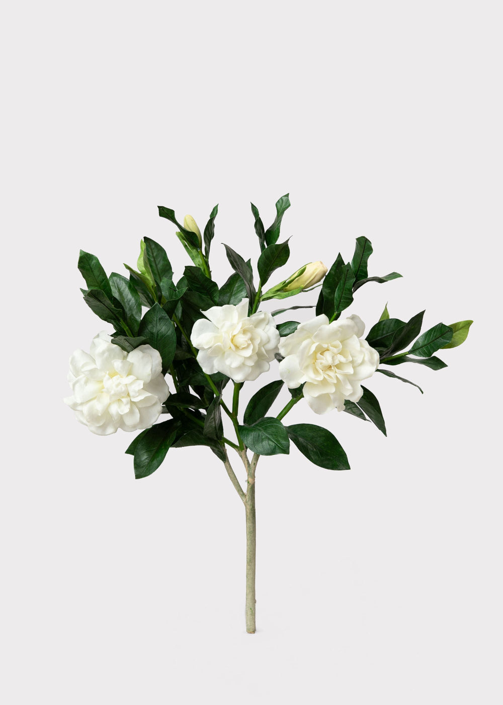 SAVE - Premium Artificial Gardenia Flower Branch- 19"