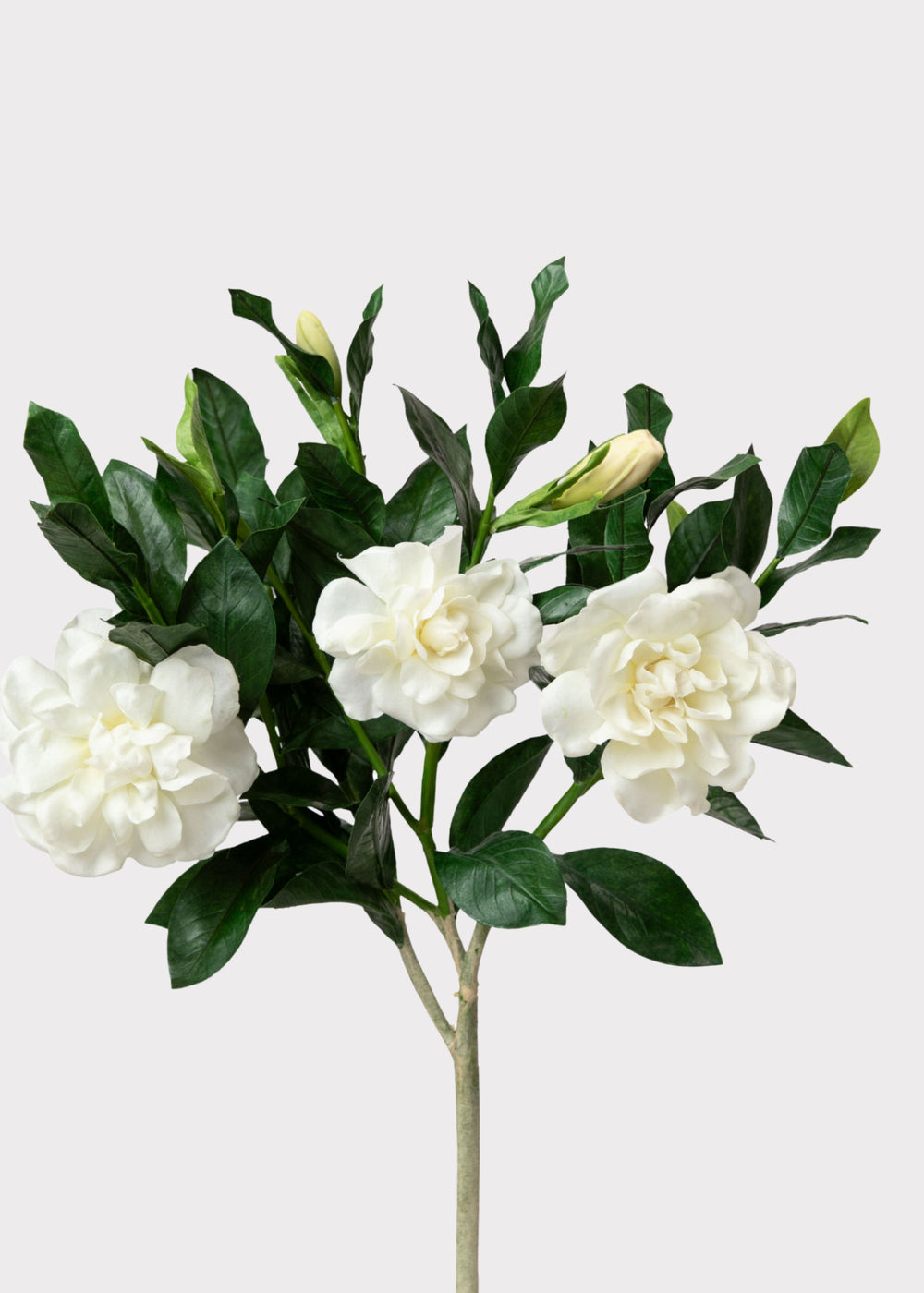 SAVE - Premium Artificial Gardenia Flower Branch- 19"