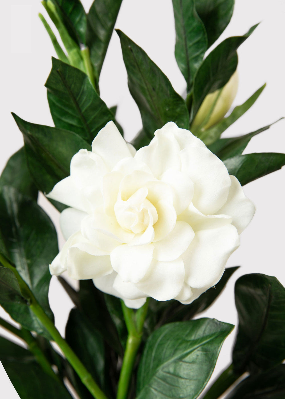 SAVE - Premium Artificial Gardenia Flower Branch- 19"