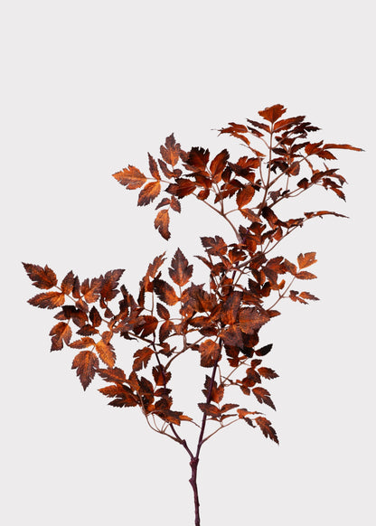 Afloral™ Faux Cimicifuga Leaf Spray in Brown - 31"