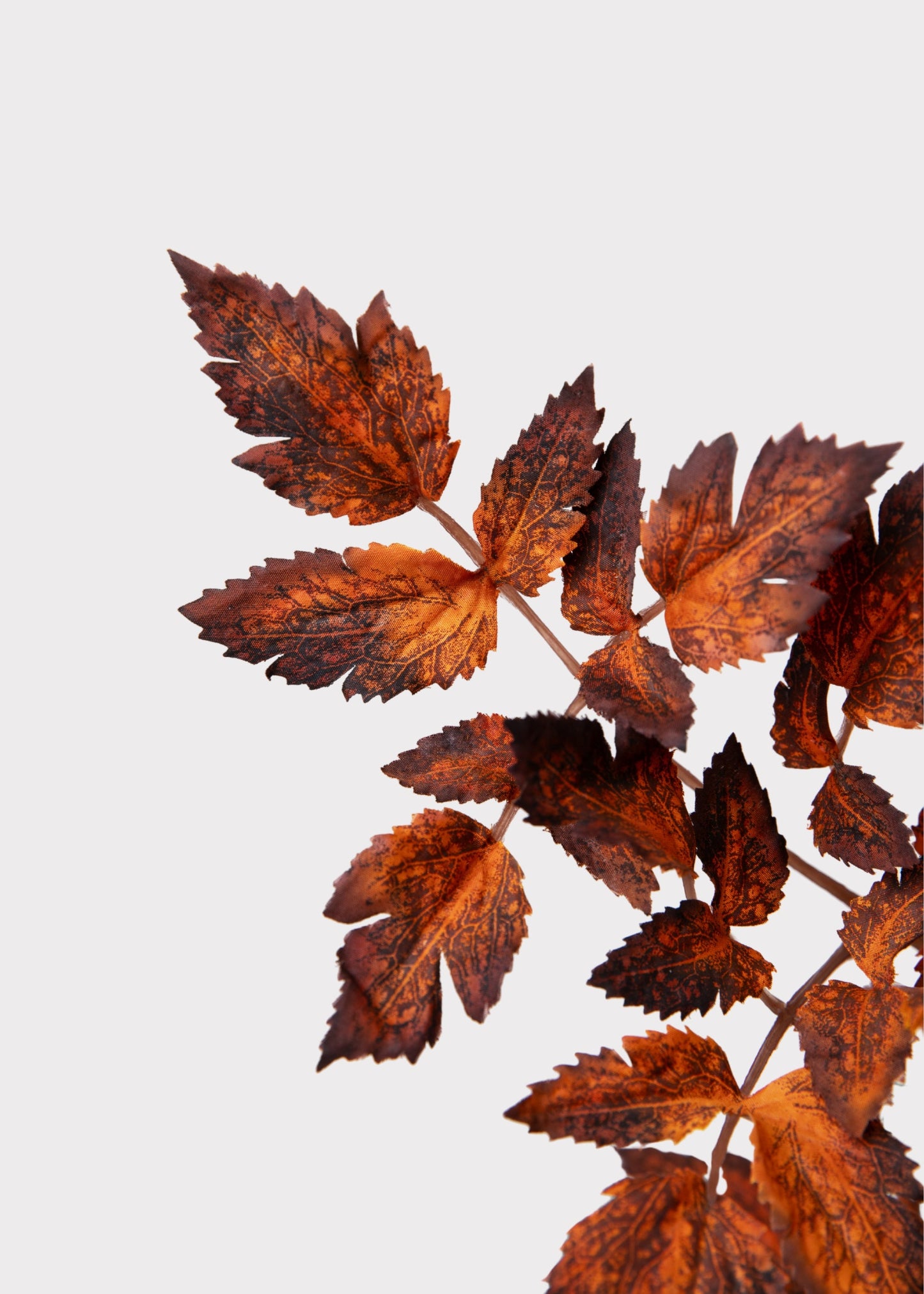 Afloral™ Faux Cimicifuga Leaf Spray in Brown - 31"