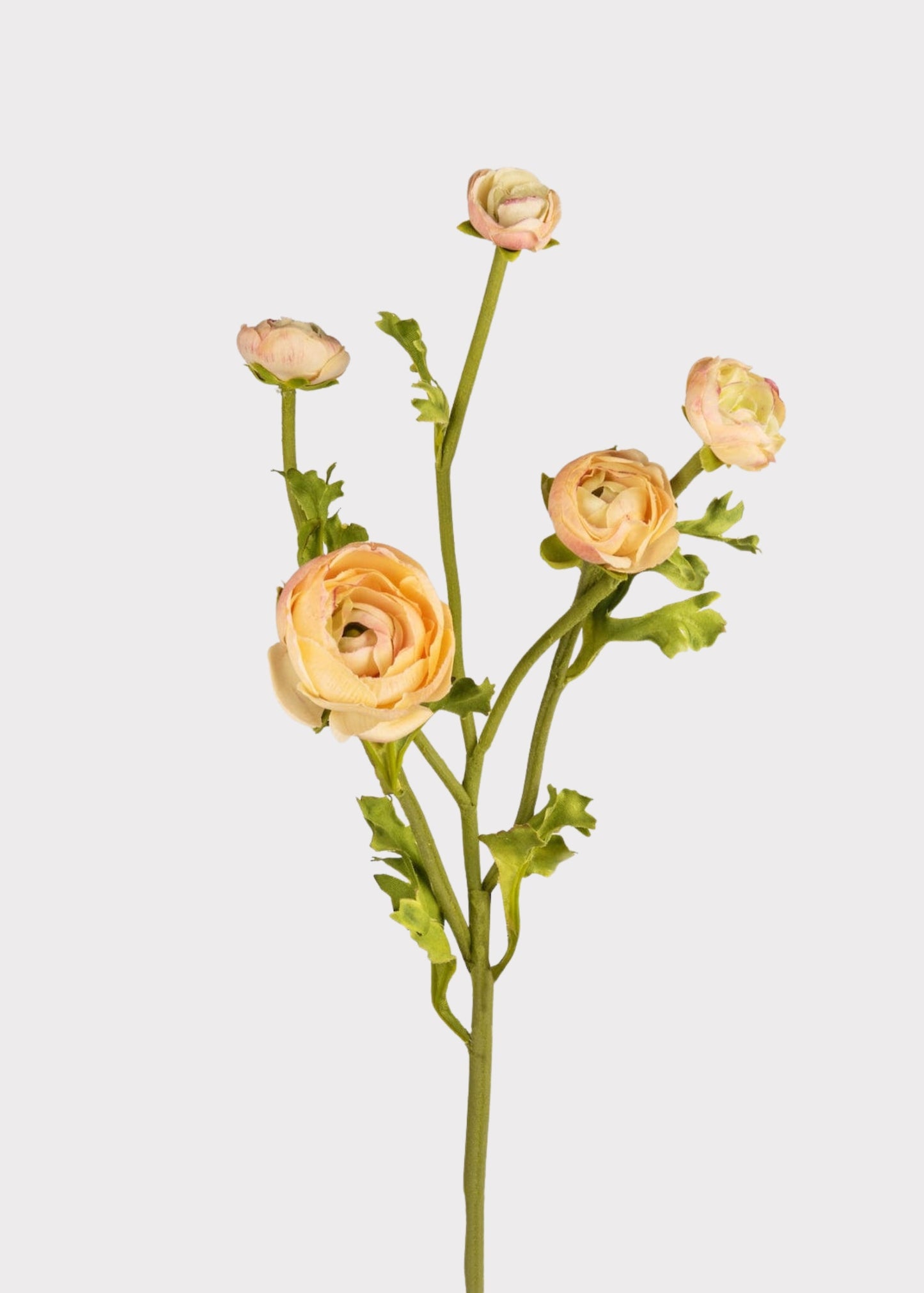 Real Touch Faux Ranunculus in Peach - 21.5"