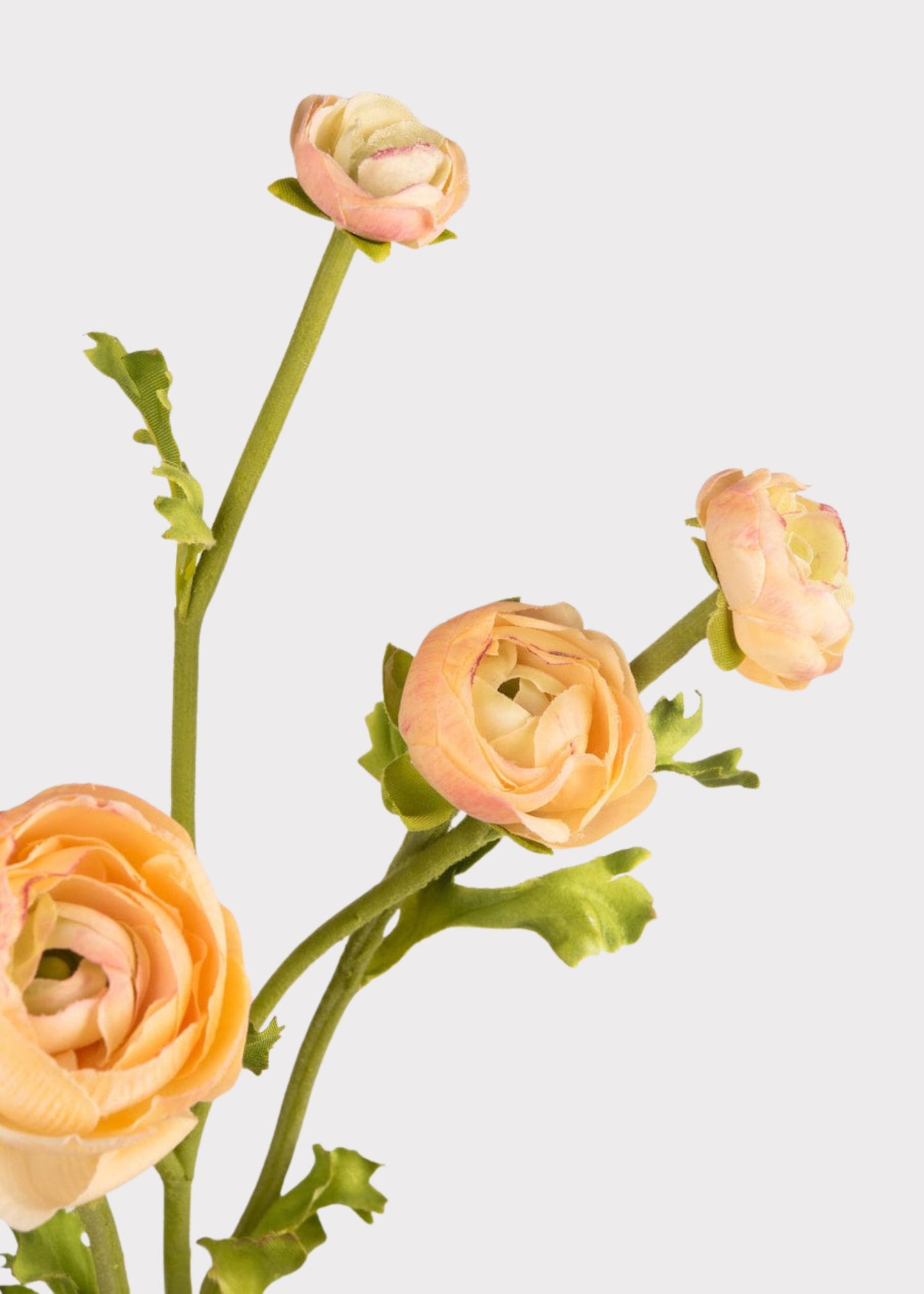 Real Touch Faux Ranunculus in Peach - 21.5"