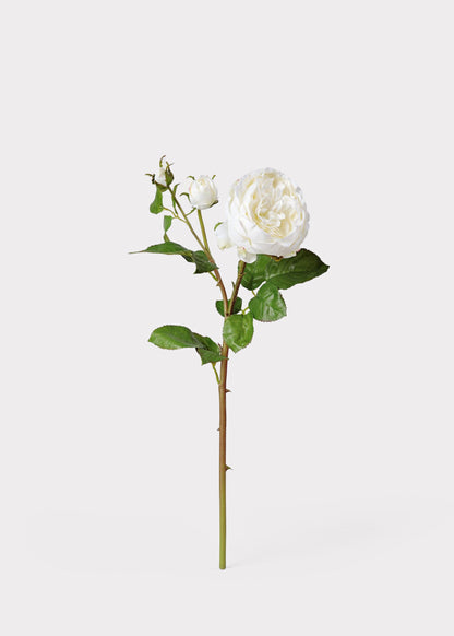 Real Touch Fake Flower English Rose with Bud - 21"