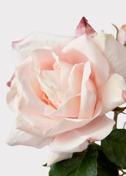 Soft Pink Real Touch Fake Juliet English Rose - 22"