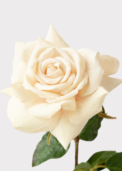 Beige Real Touch Duchess Rose Fake Flower - 20"
