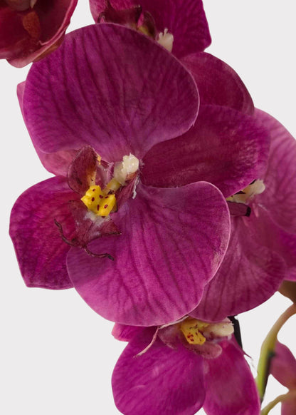 Artificial Phalaenopsis Orchid Drop-In Plant in Fuchsia - 14"