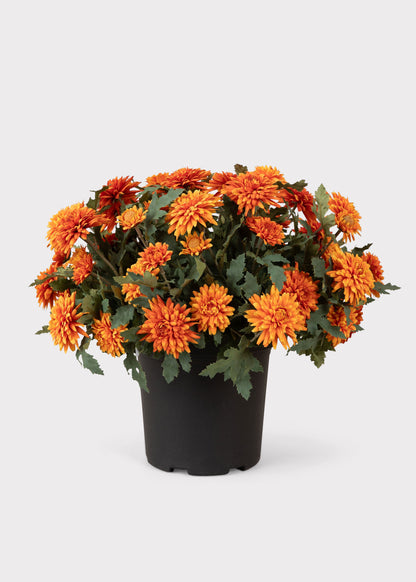 UV Treated Indoor/Outdoor Potted Fake Fall Orange Mums - 17"