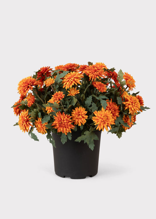 UV Treated Indoor/Outdoor Potted Fake Fall Orange Mums - 17"