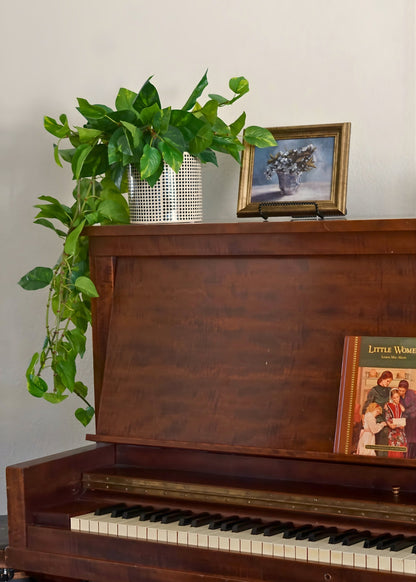 Natural Touch Pothos Artificial Plant - 48"