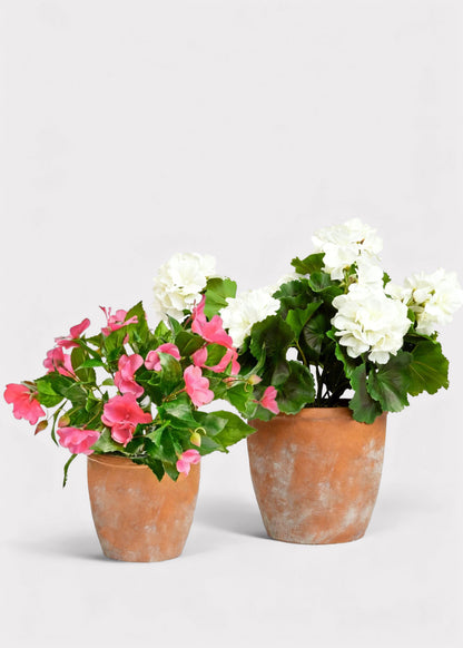 UV Treated Indoor/Outdoor Fake White Geranium Plant in Clay Pot - 16"