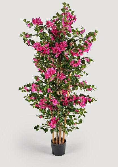 Pack of 2 - Indoor/Covered Outdoor Porch Faux Potted Bougainvillea Trellis - 55"