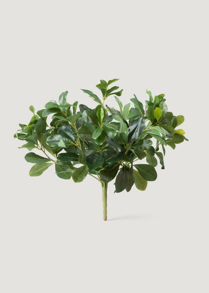 SAVE - Natural Touch Artificial Wax Privet Leaf Plant - 15"