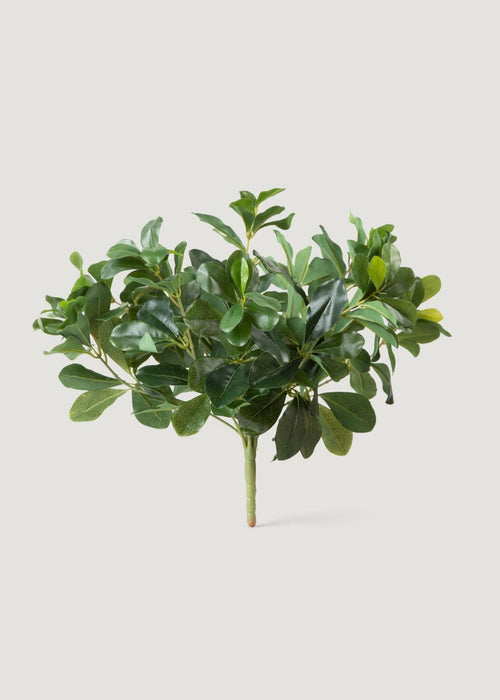 SAVE - Natural Touch Artificial Wax Privet Leaf Plant - 15"