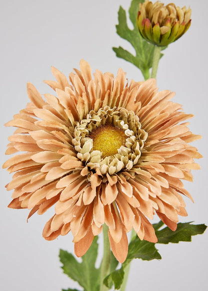 Terracotta Artificial Mum Wildflower - 28.25"