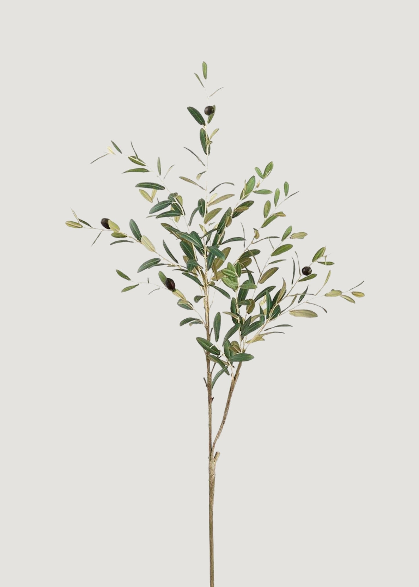 Tall Fake Olive and Leaf Branch - 41"