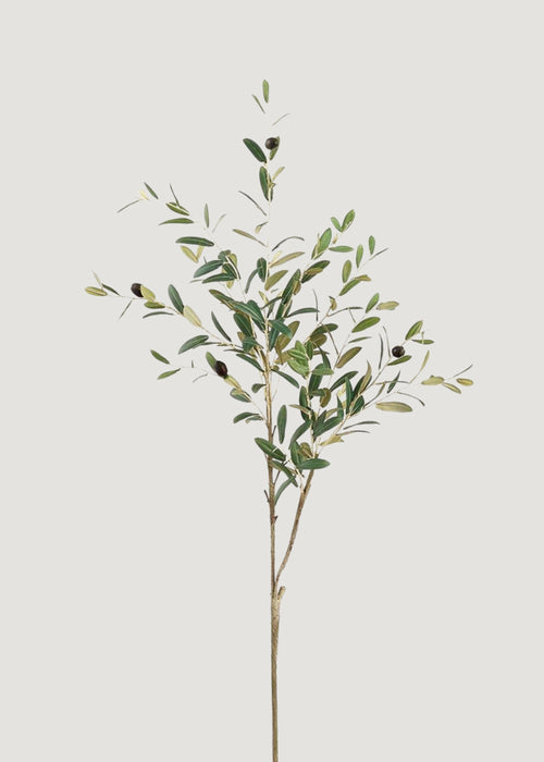 Tall Fake Olive and Leaf Branch - 41"