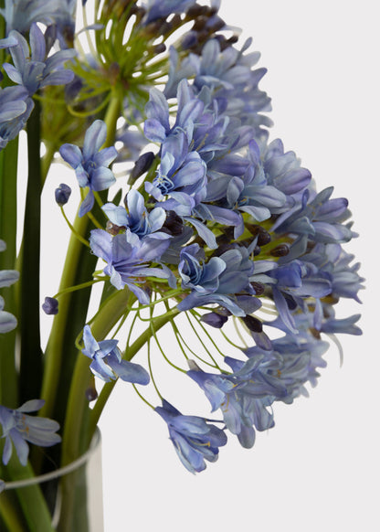 SALE - Blue Faux Agapanthus Flower Arrangement in Glass Vase - 31"