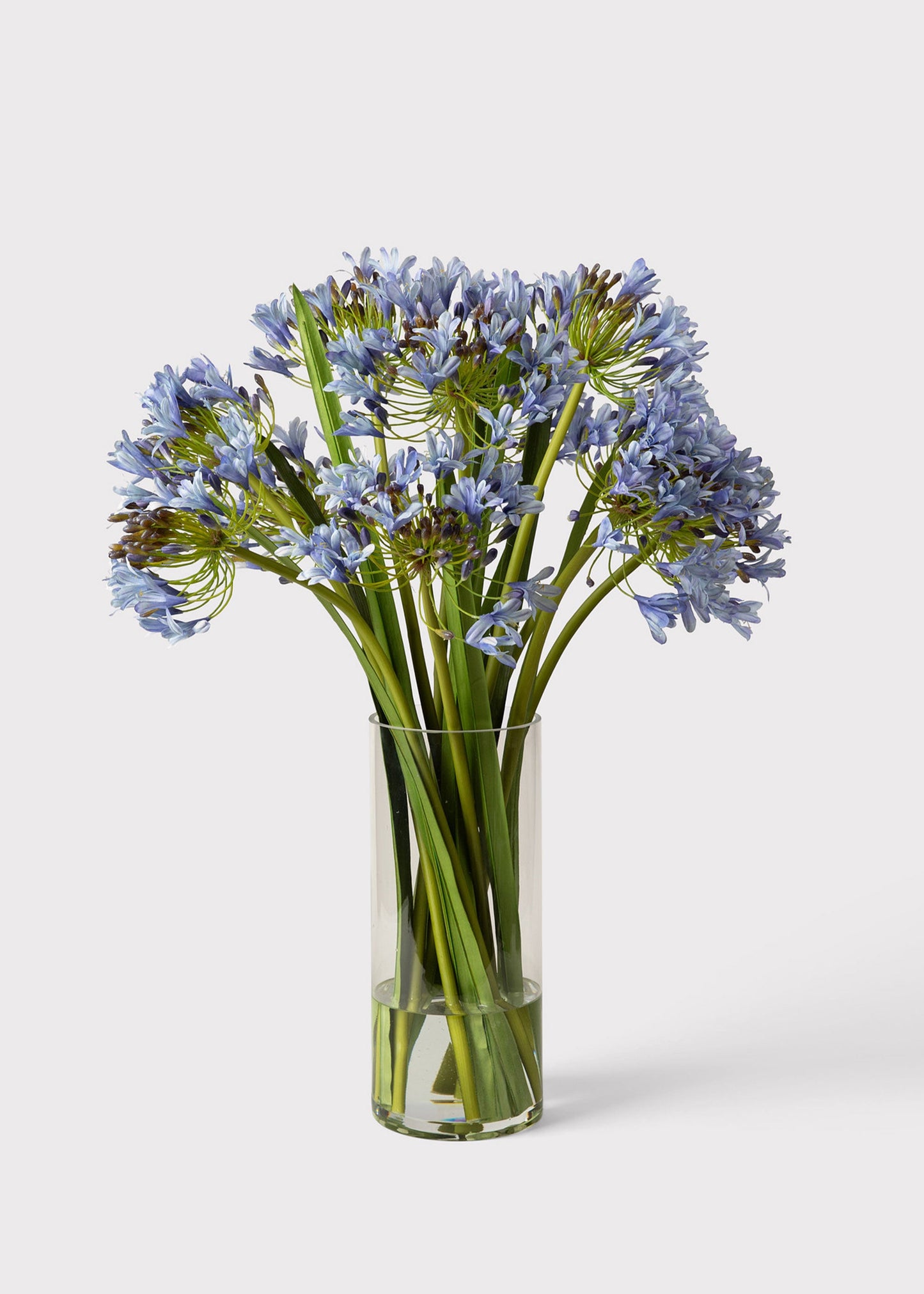 SALE - Blue Faux Agapanthus Flower Arrangement in Glass Vase - 31"
