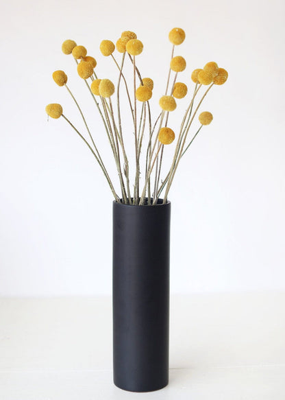 Bundle of 25 Dried Craspedia Billy Buttons - 18-26"