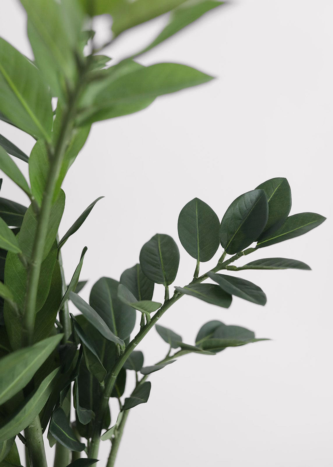 UV Resistant Outdoor Potted Artificial ZZ Plant - 31"