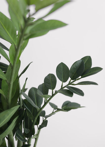 UV Resistant Outdoor Potted Artificial ZZ Plant - 31"