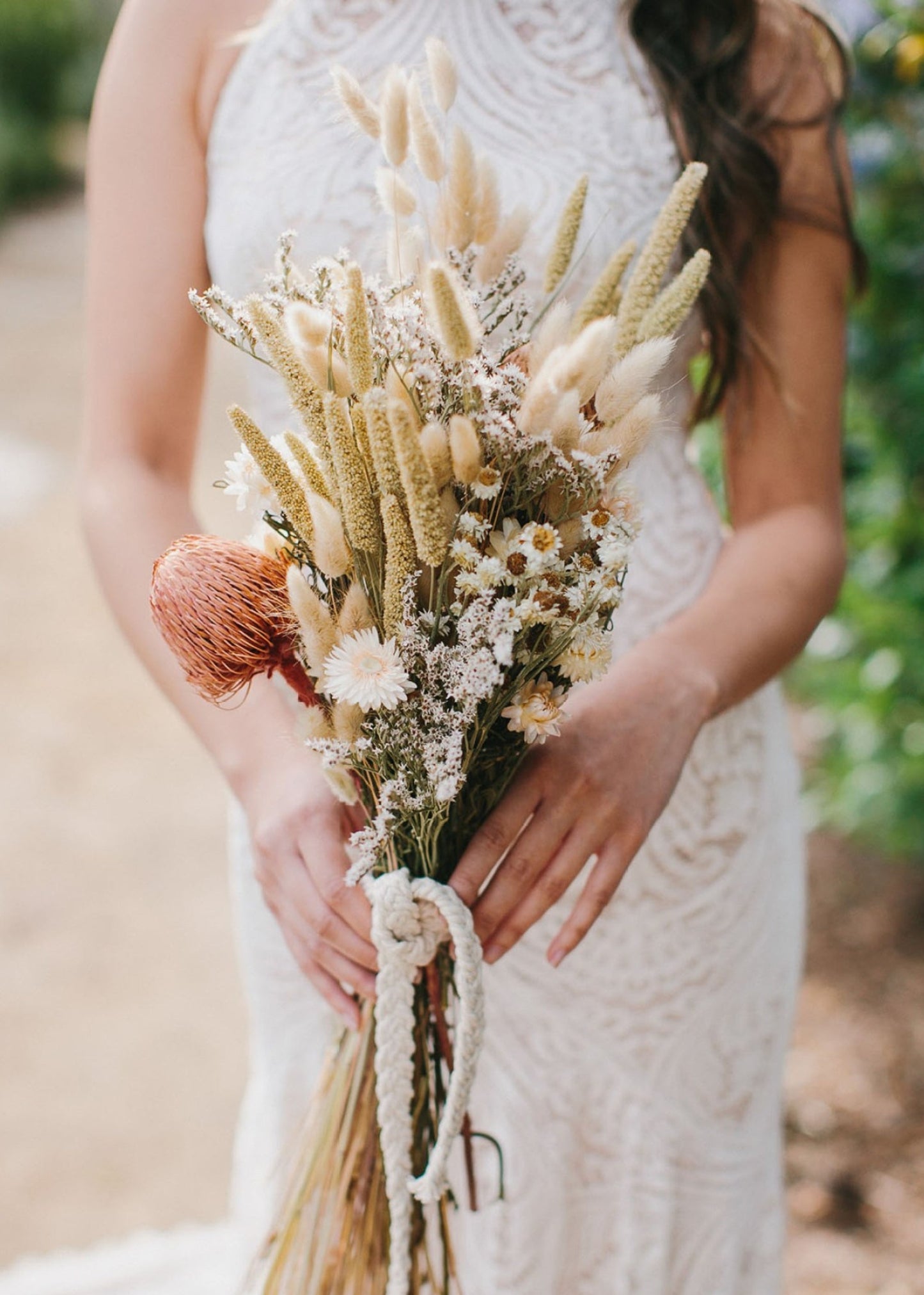 Natural White Dried Ammobium Flowers - 4 oz Bunch