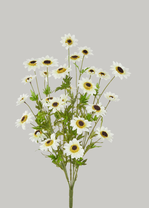 Fake Black-Eyed-Susan Wildflower Bush in White - 25"