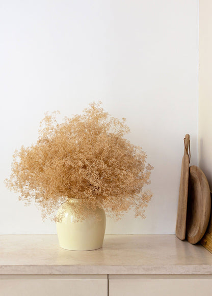 Natural Beige Preserved Wild Gypsophila Flower Bunch - 24"