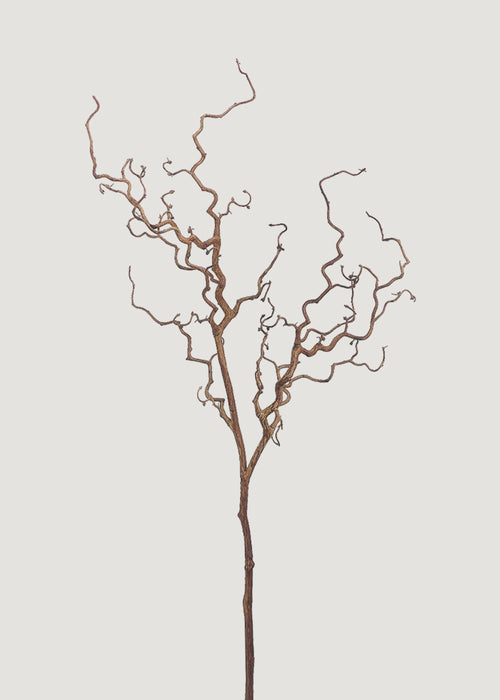 Dried Look Artificial Tall Branch - 47"