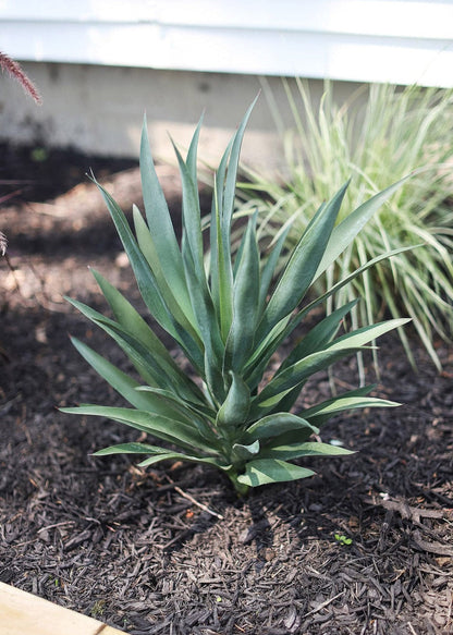 SAVE - UV Resistant Artificial Outdoor Yucca Plant - 27"